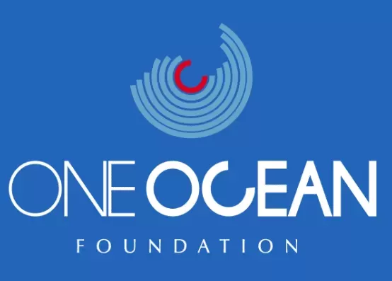 One Ocean Finance: Bridging the Ocean Funding Gap
